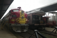 RIMG7085