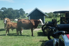 pasture parking