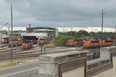 IMG_1304