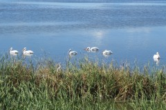 IMG_3114