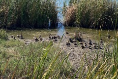 IMG_3373