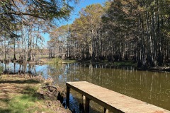 Beautiful-Caddo-Lake
